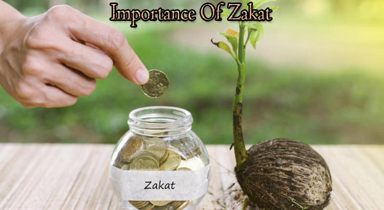 Types Of Zakat